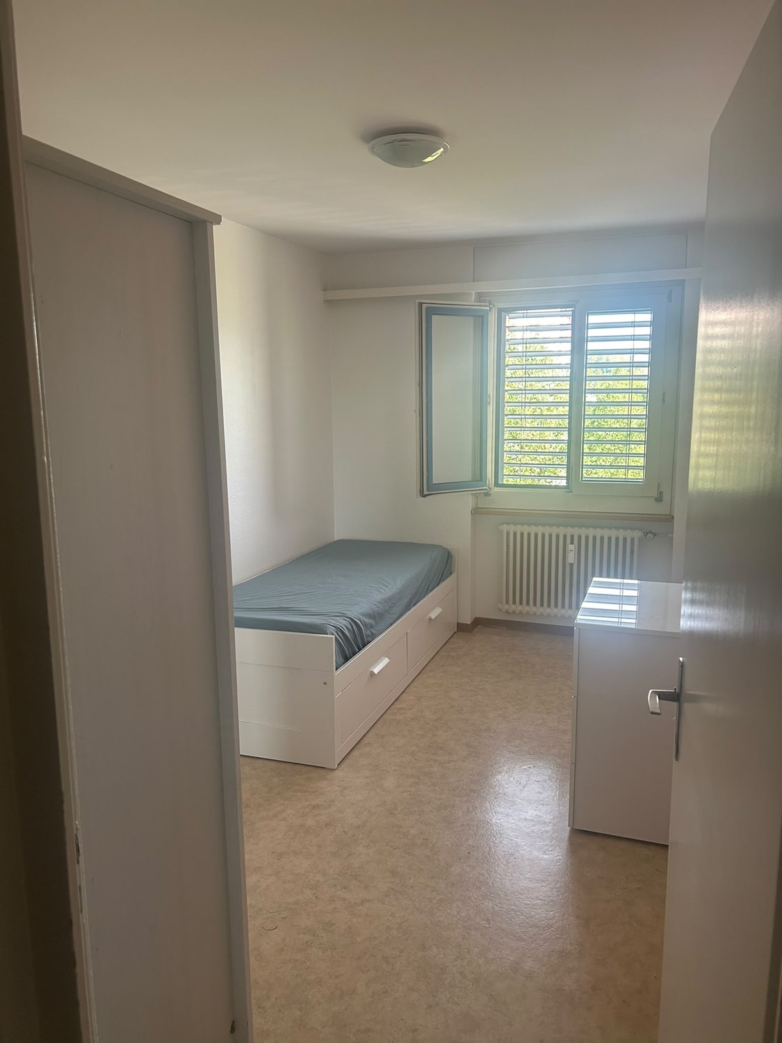 Room in a shared flat