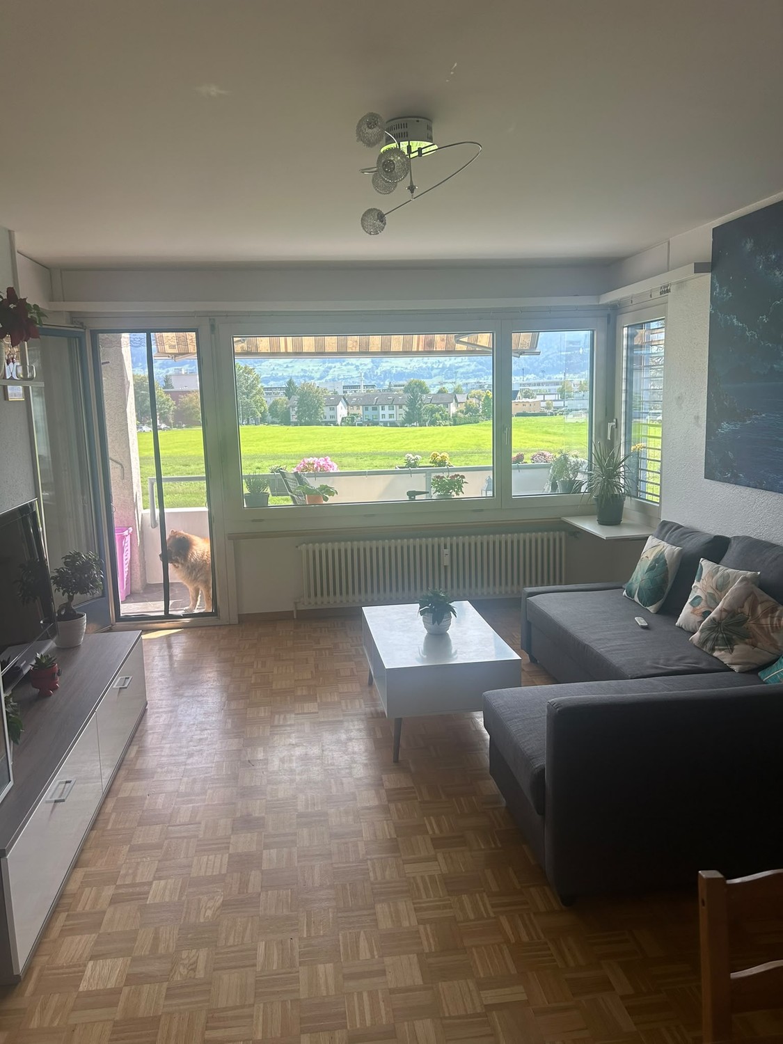Room in a shared flat