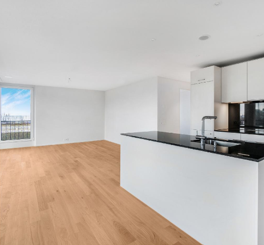 3 ½ pièces appartement