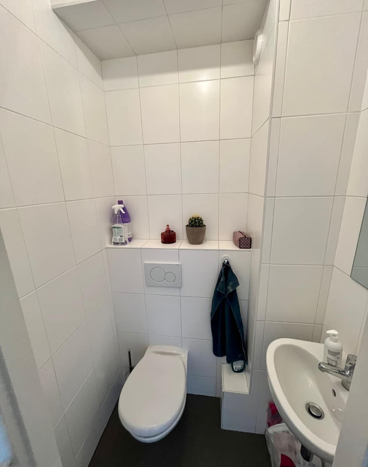 Room in a shared flat