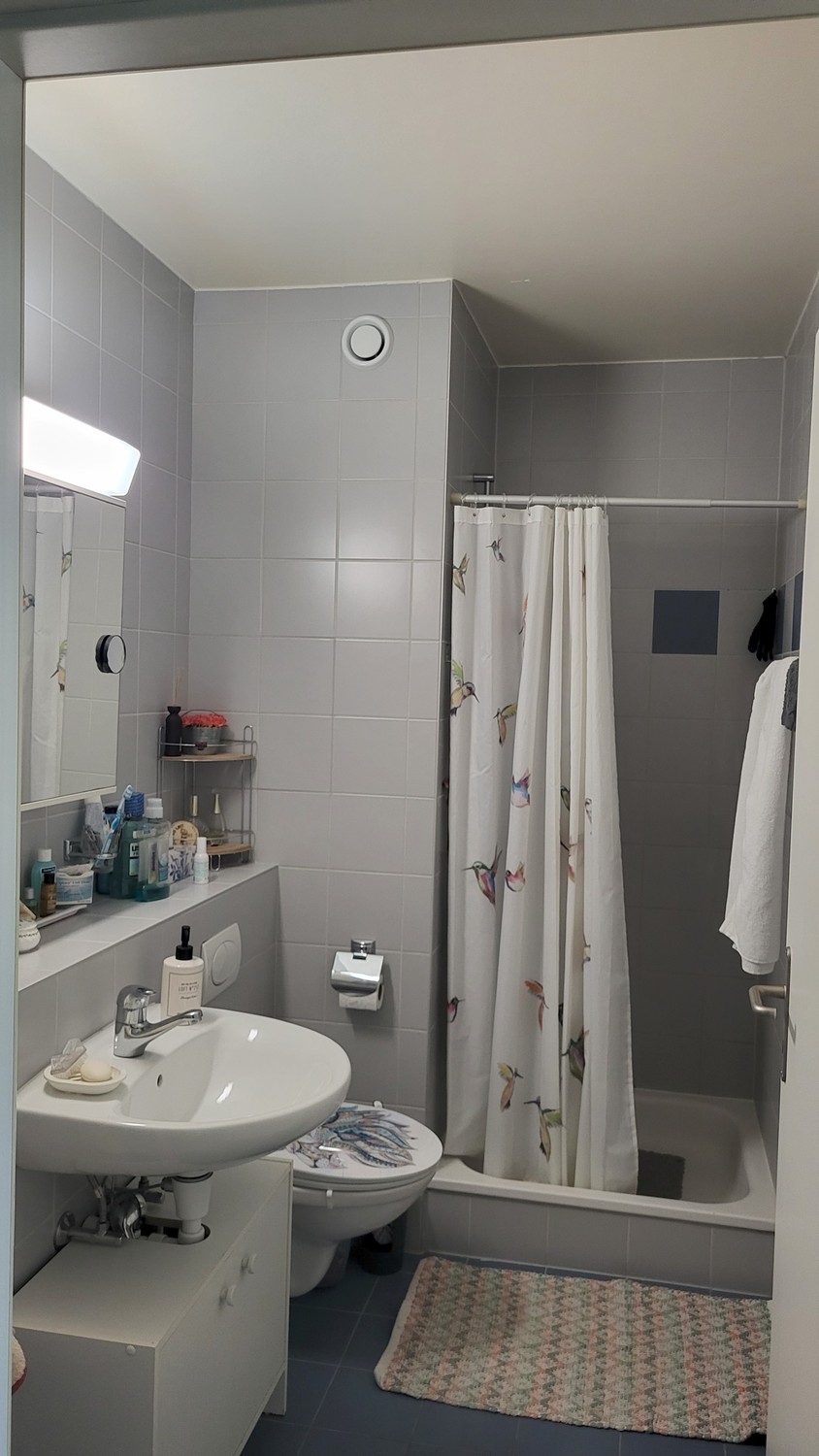 3 rooms apartment