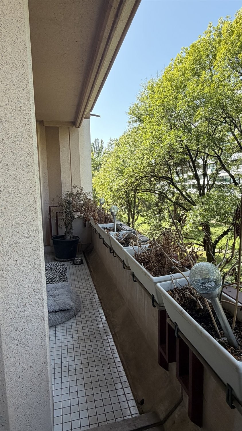 4 rooms apartment