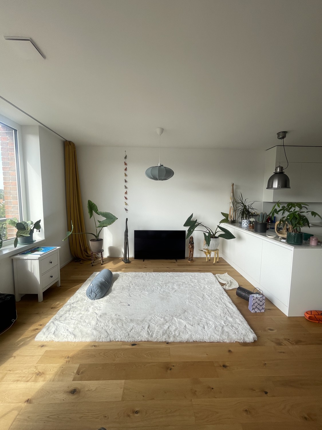 Appartamento di 2 ½ locali