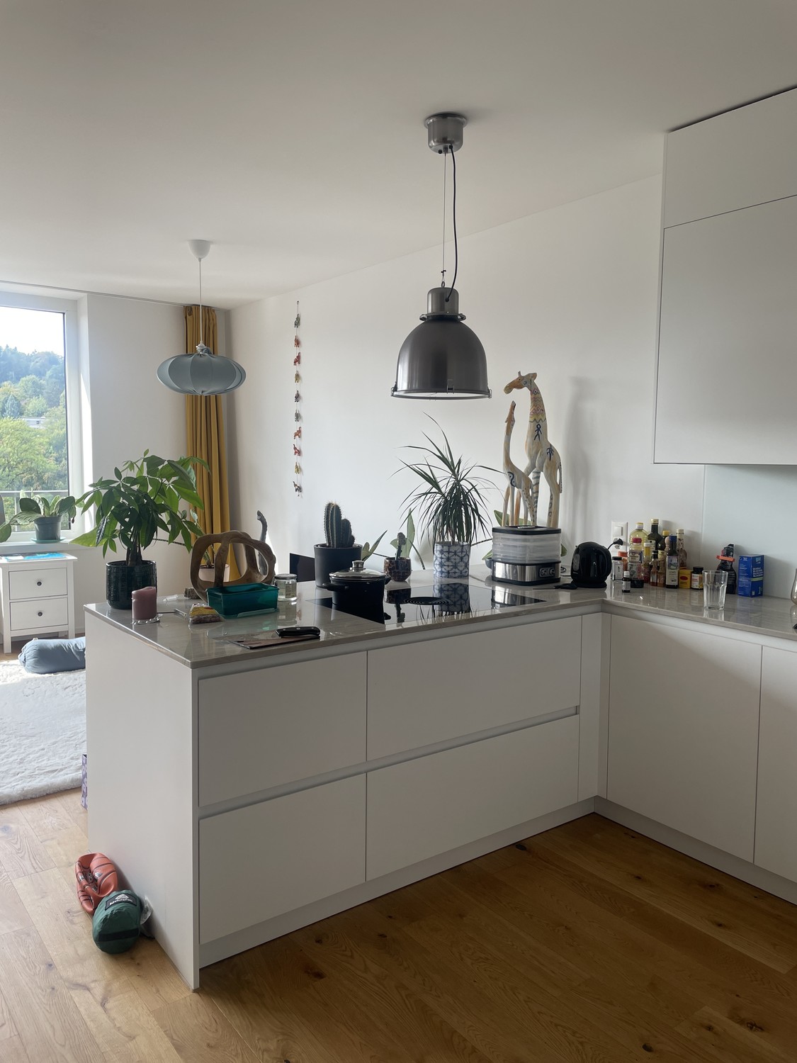 Appartamento di 2 ½ locali