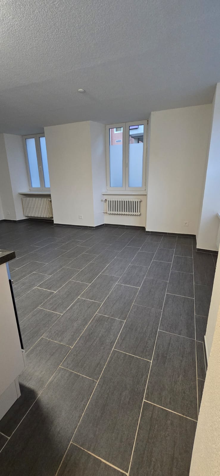 1 room apartment