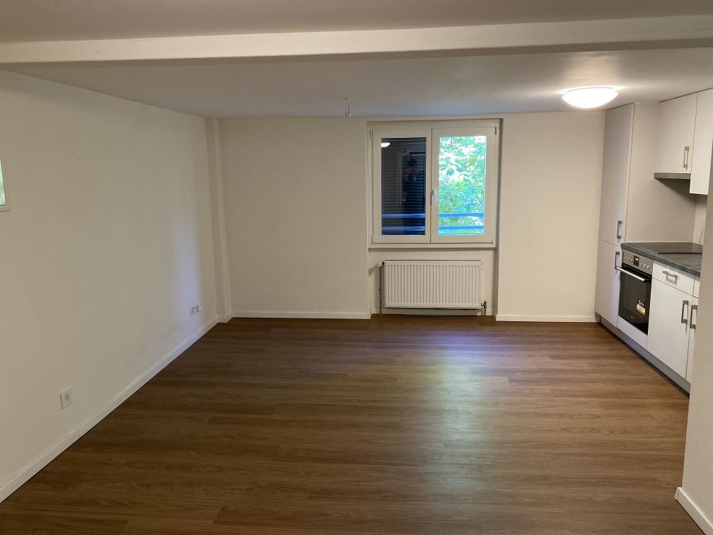 1 ½ pièces appartement
