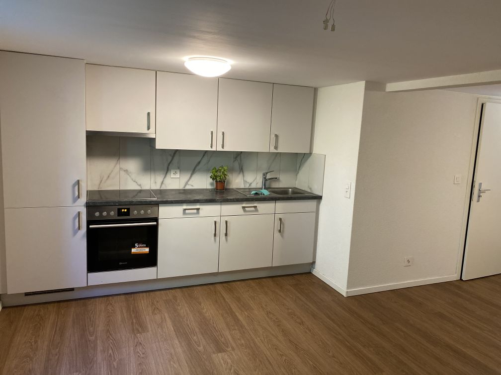 1 ½ pièces appartement