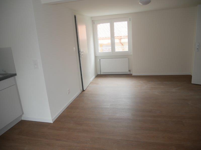 1 ½ pièces appartement