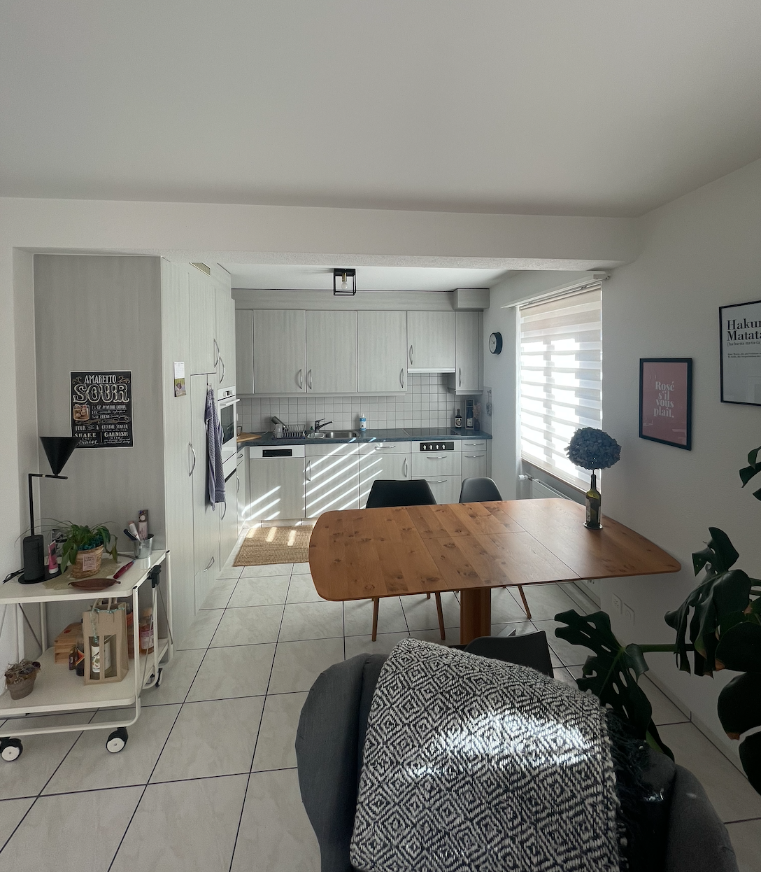 Appartement de 3 ½ pièces