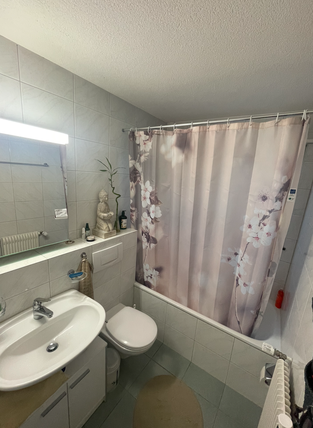 Appartement de 3 ½ pièces