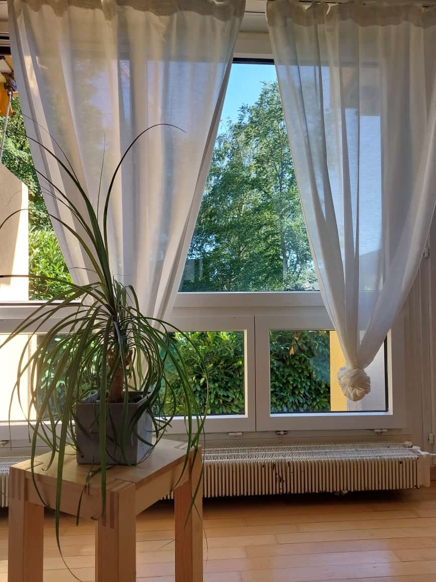 1 room apartment, photo 1 of 5