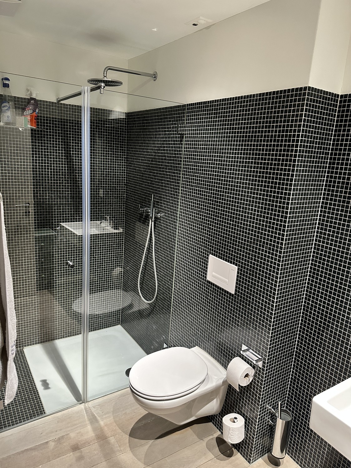 Appartamento di 2 ½ locali, foto 5 di 10