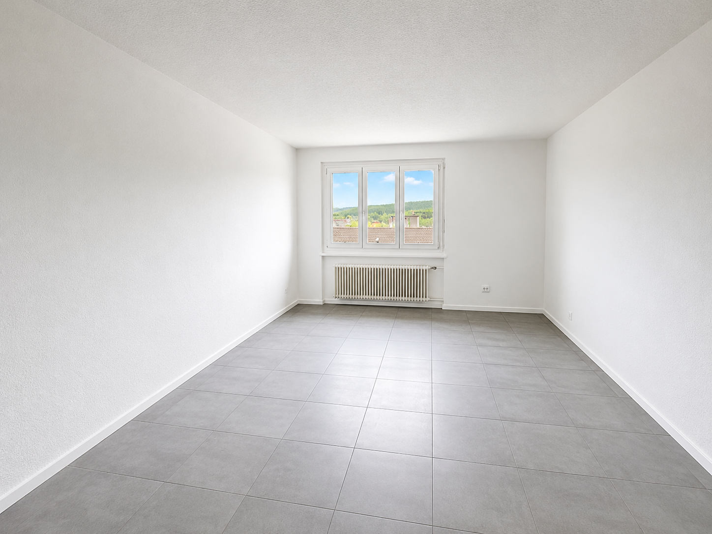 4 ½ rooms apartment, photo 4 of 6