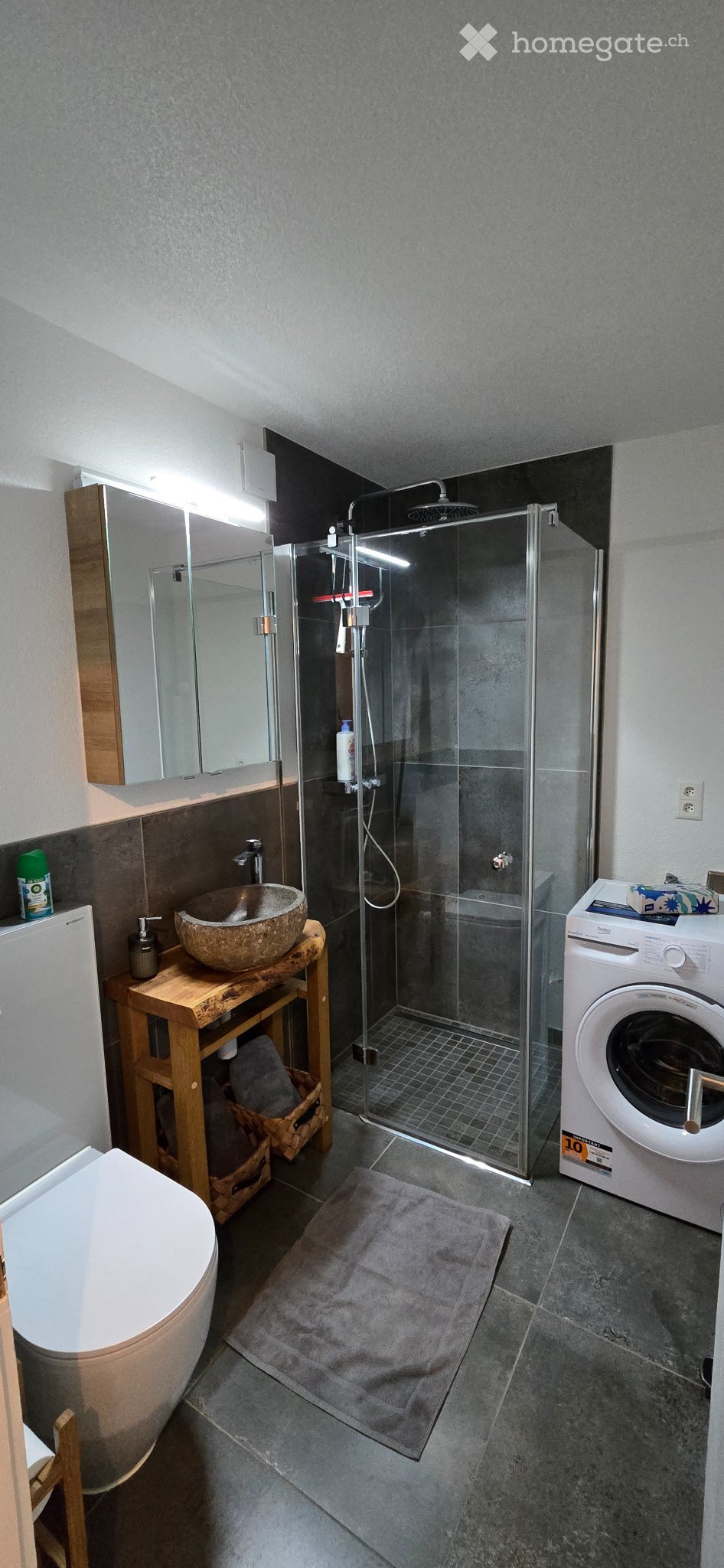 Appartement de 3 ½ pièces