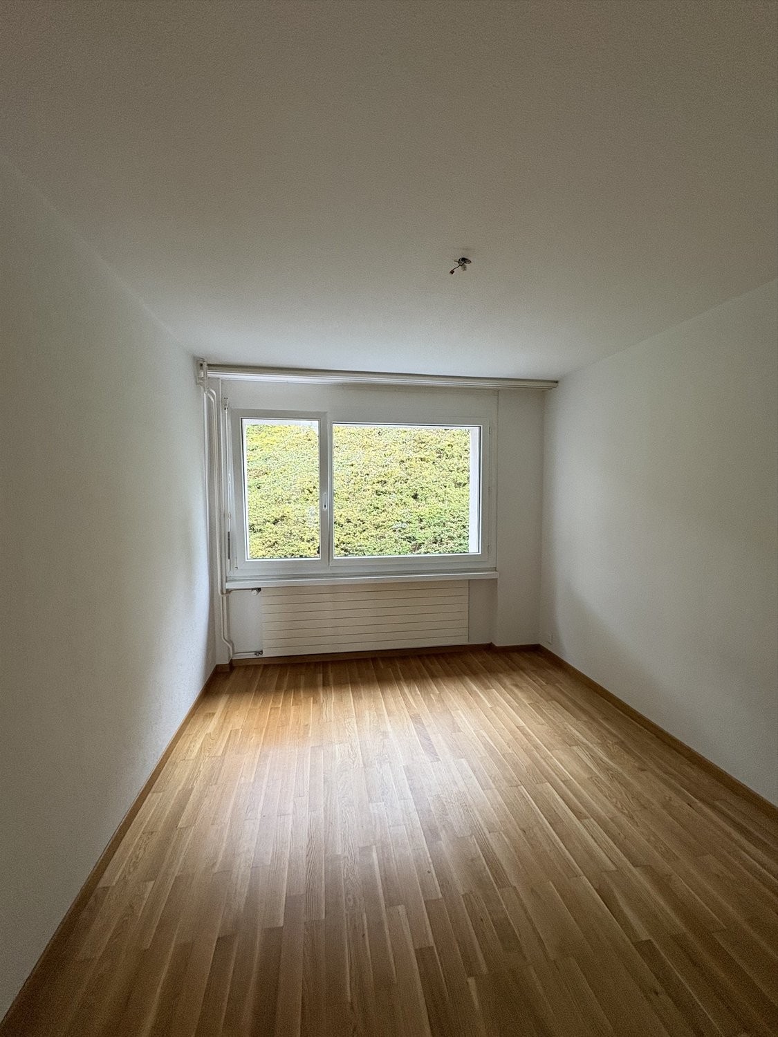 2 ½ rooms apartment, Foto 4 von 5