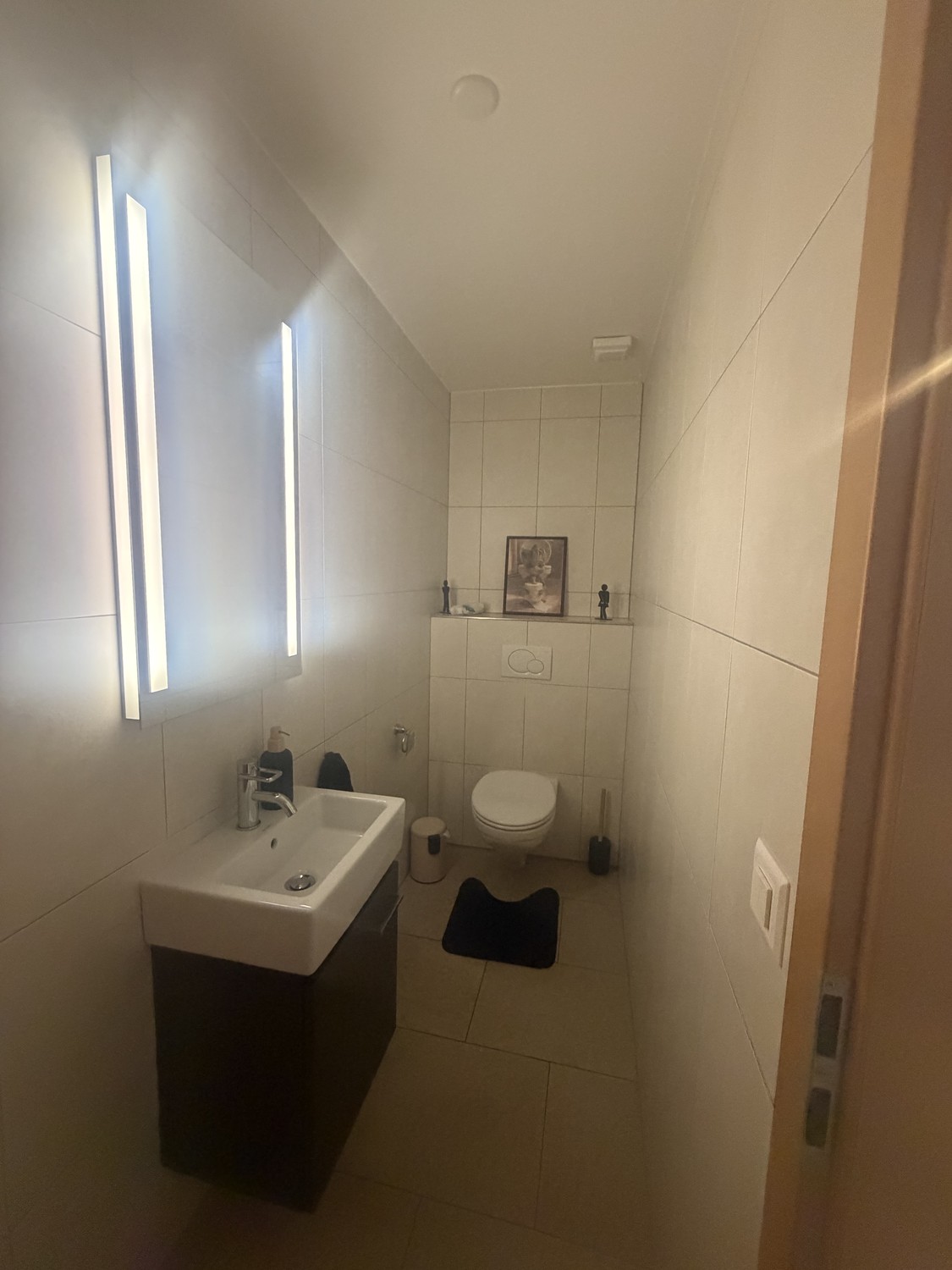 4 ½ rooms apartment