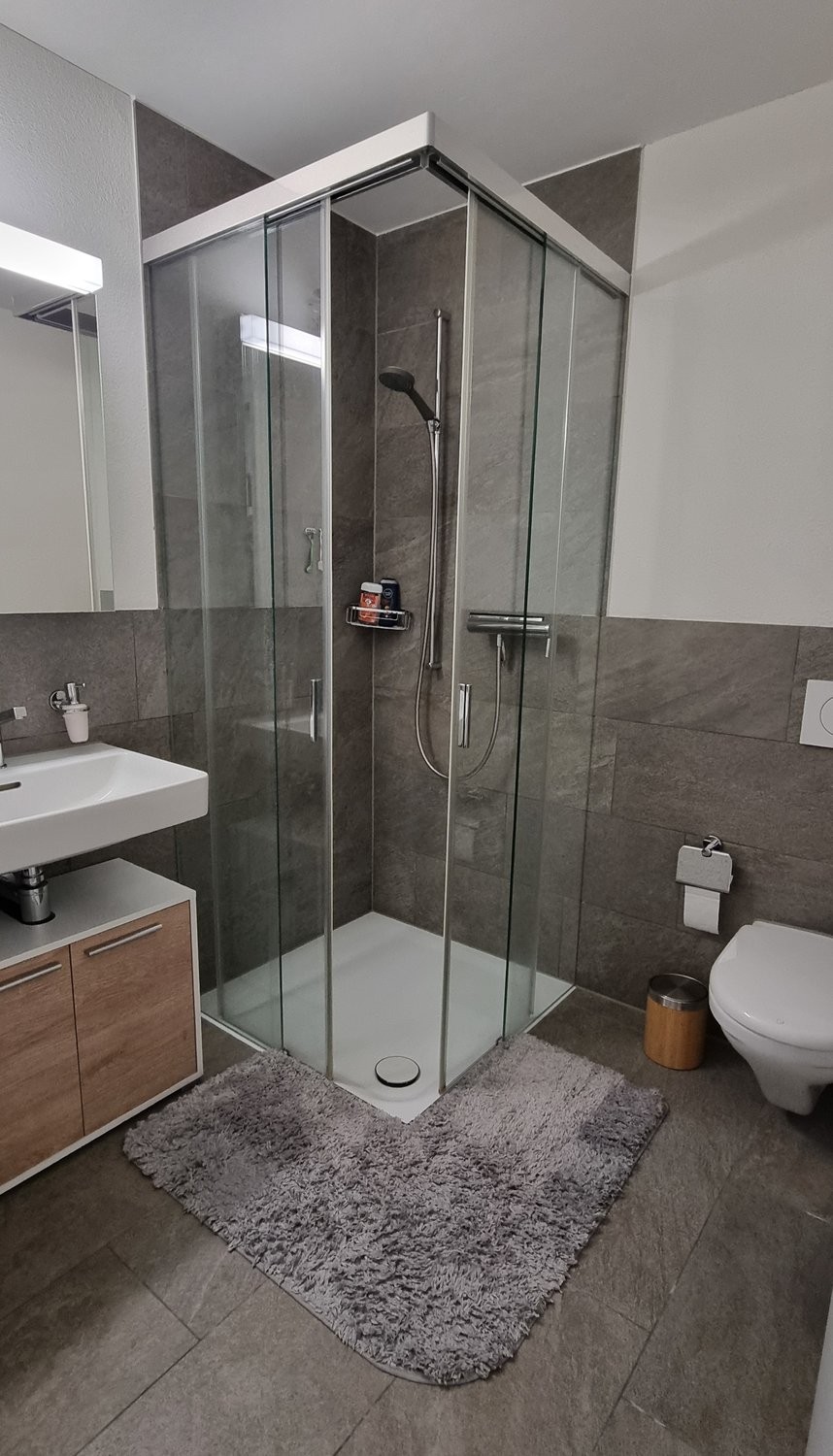 2 ½ rooms furnished flat