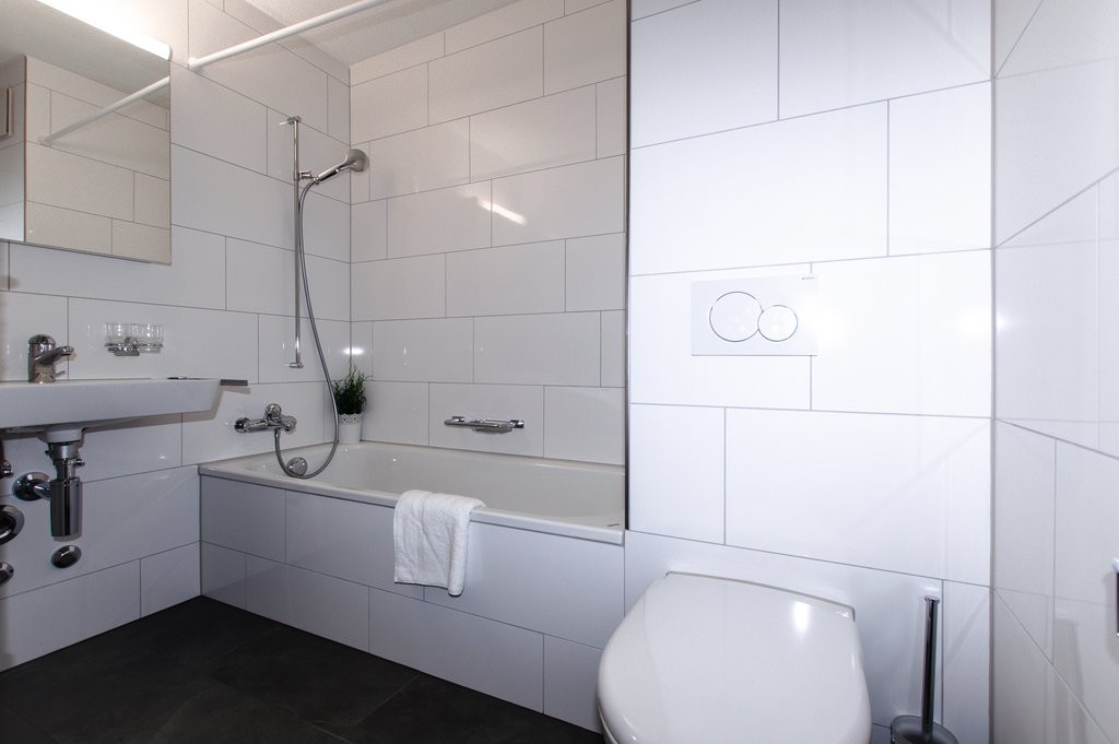 4 ½ rooms apartment (6)