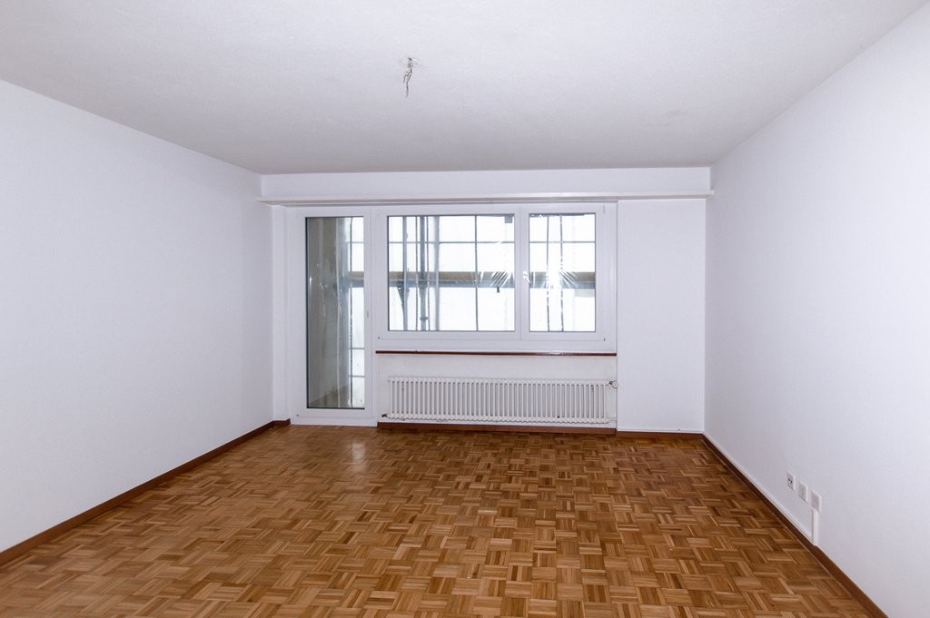 4 ½ rooms apartment (2)