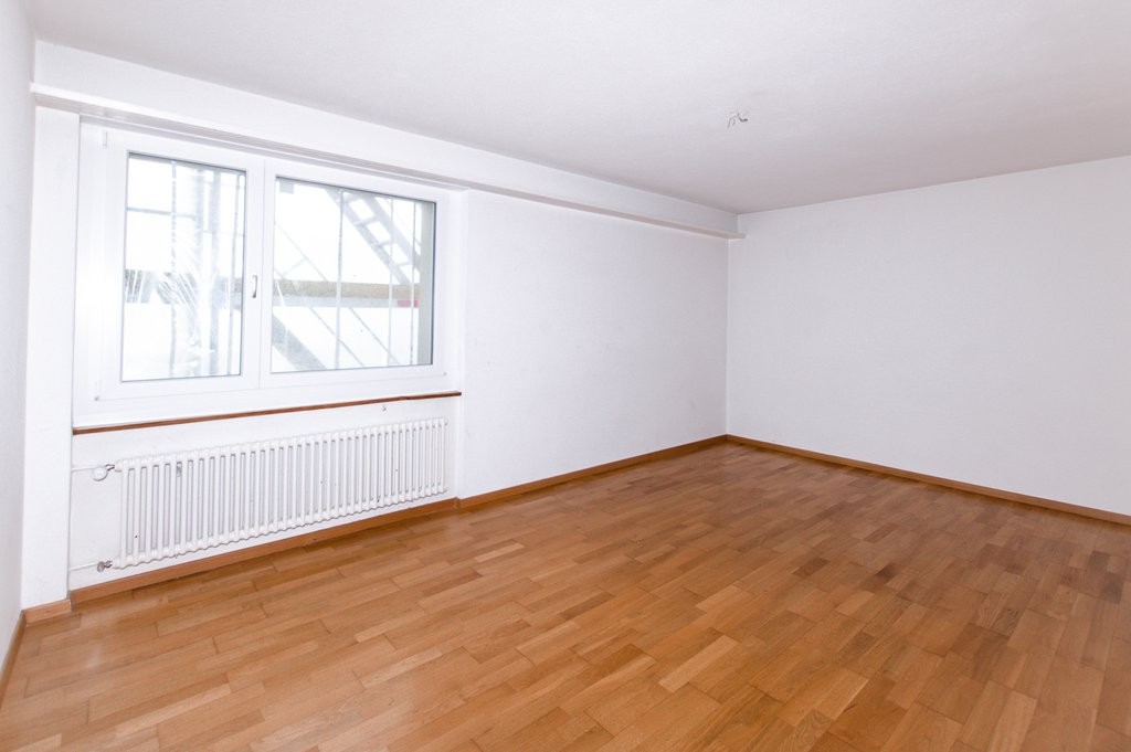 4 ½ rooms apartment (3)