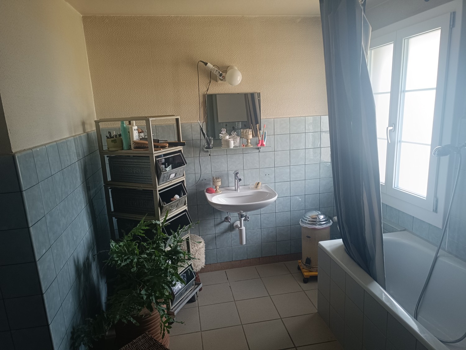 Room in a shared flat