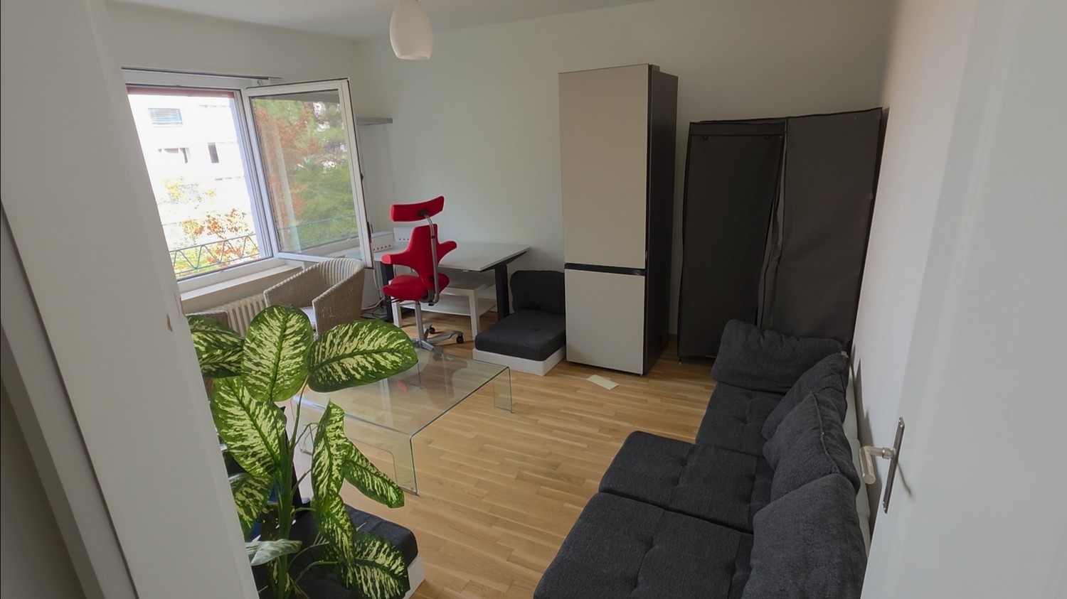 Chambre en colocation