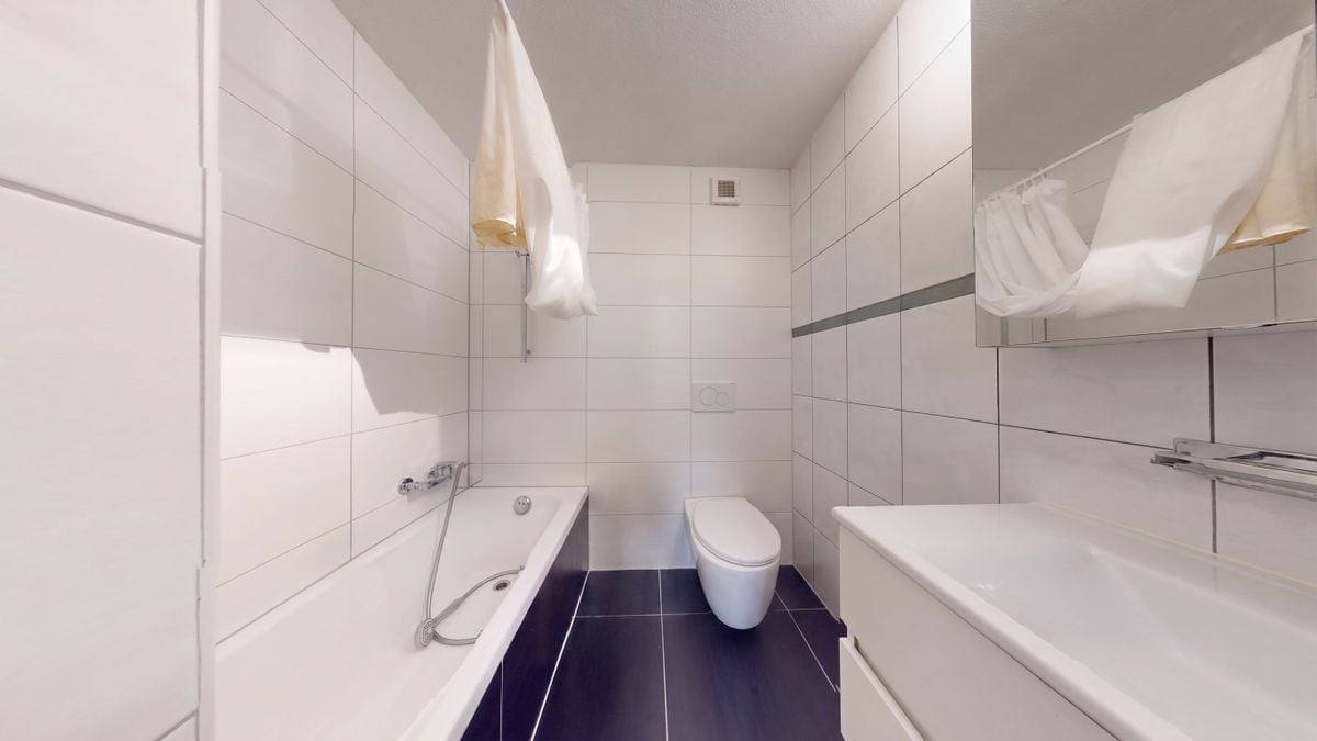 Appartamento 2 ½ locali (10)