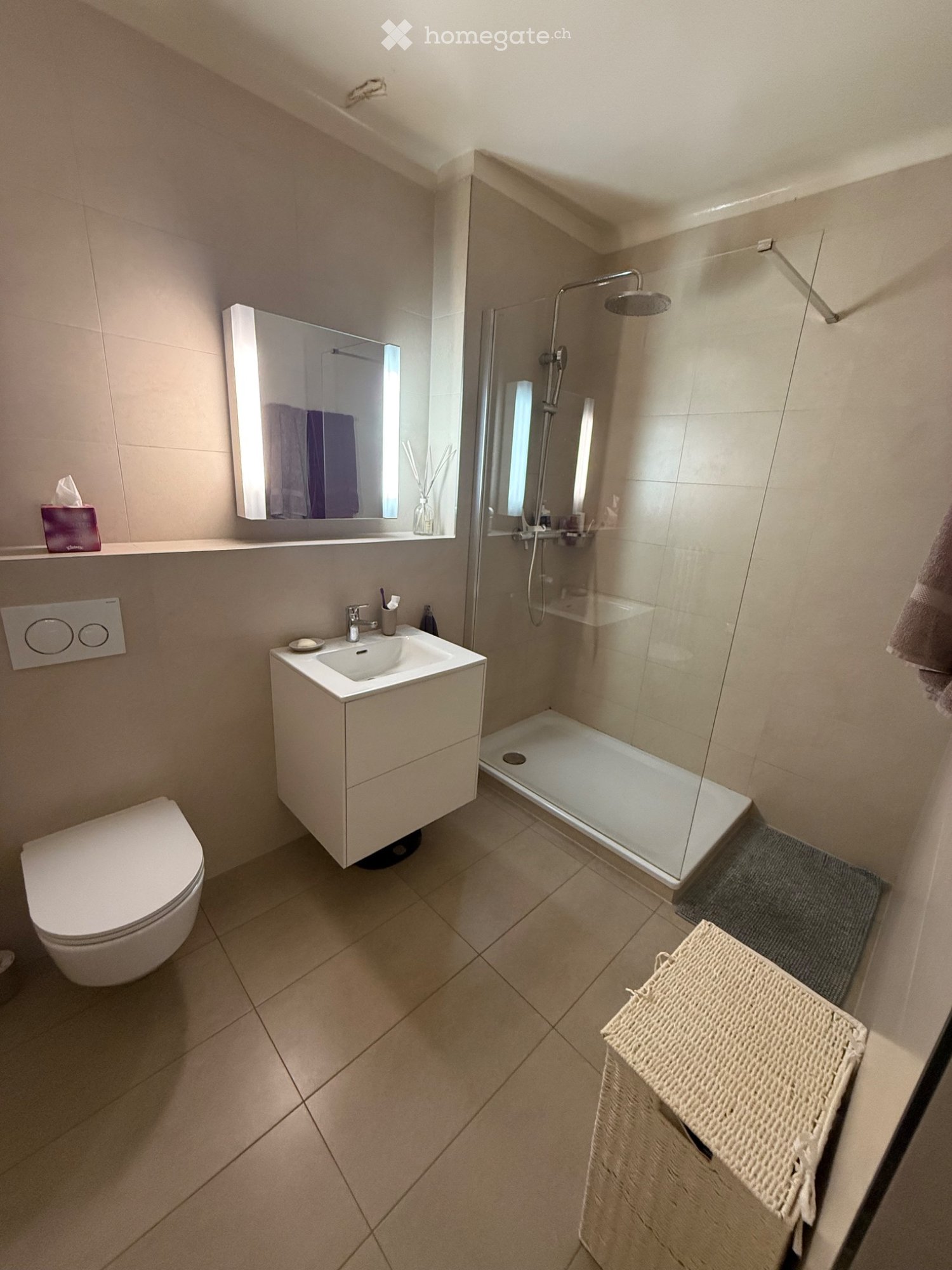 4 ½ rooms apartment