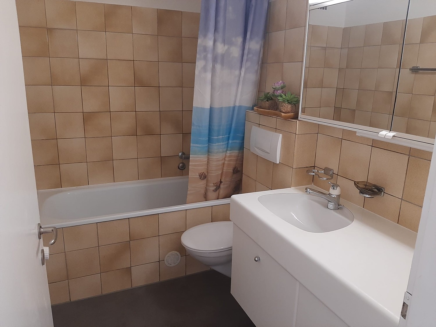 Appartamento di 1 ½ locali