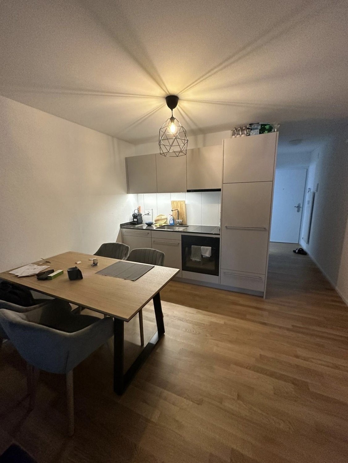 1 ½ rooms apartment, photo 3 sur 8