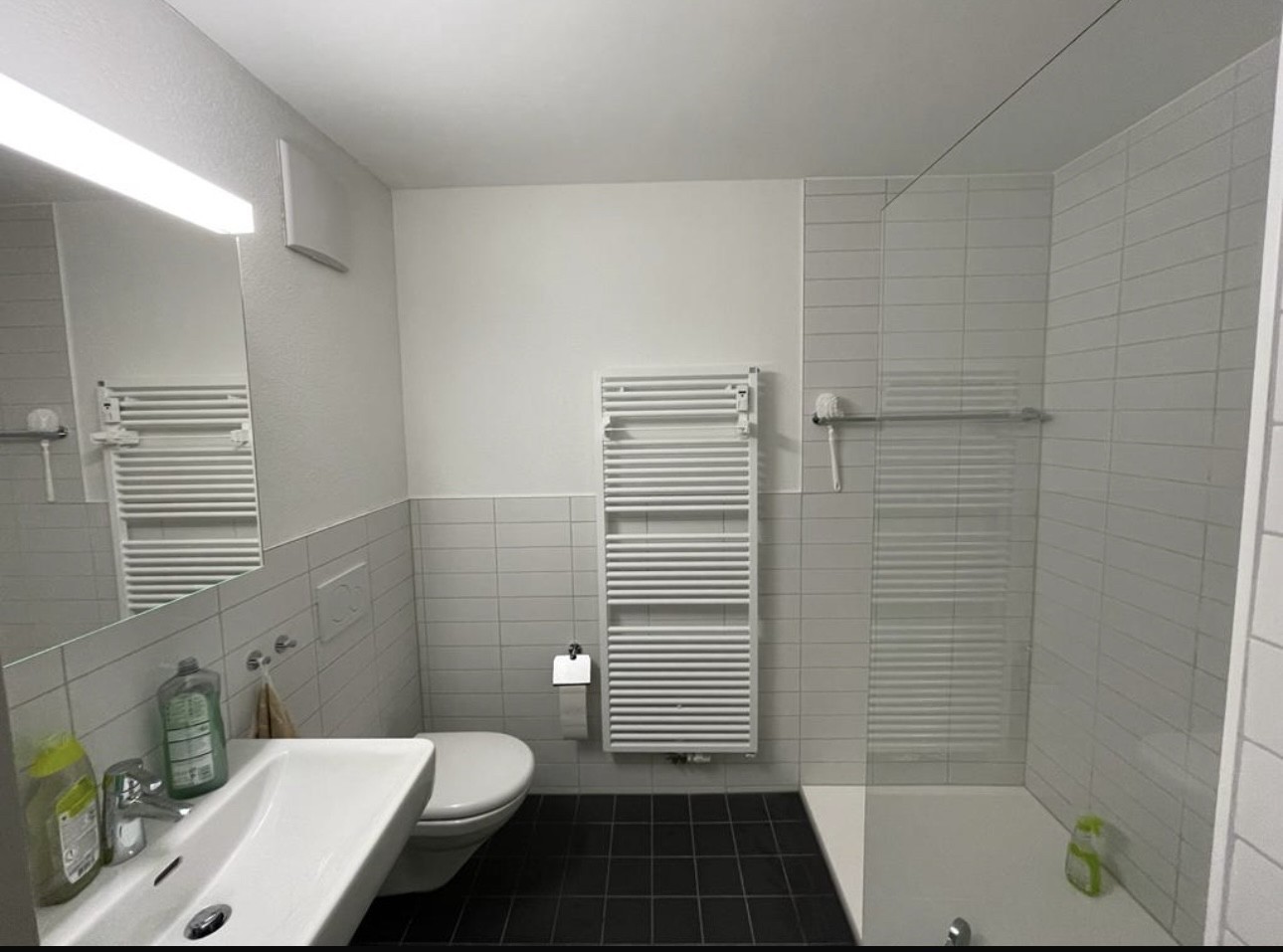 1 ½ rooms apartment, photo 5 sur 8