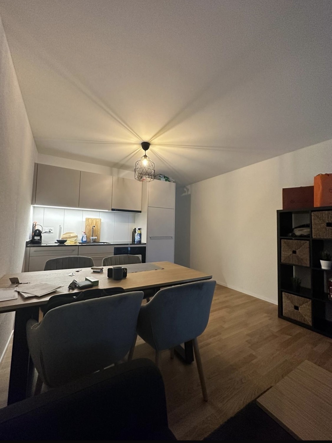 1 ½ rooms apartment, photo 4 sur 8