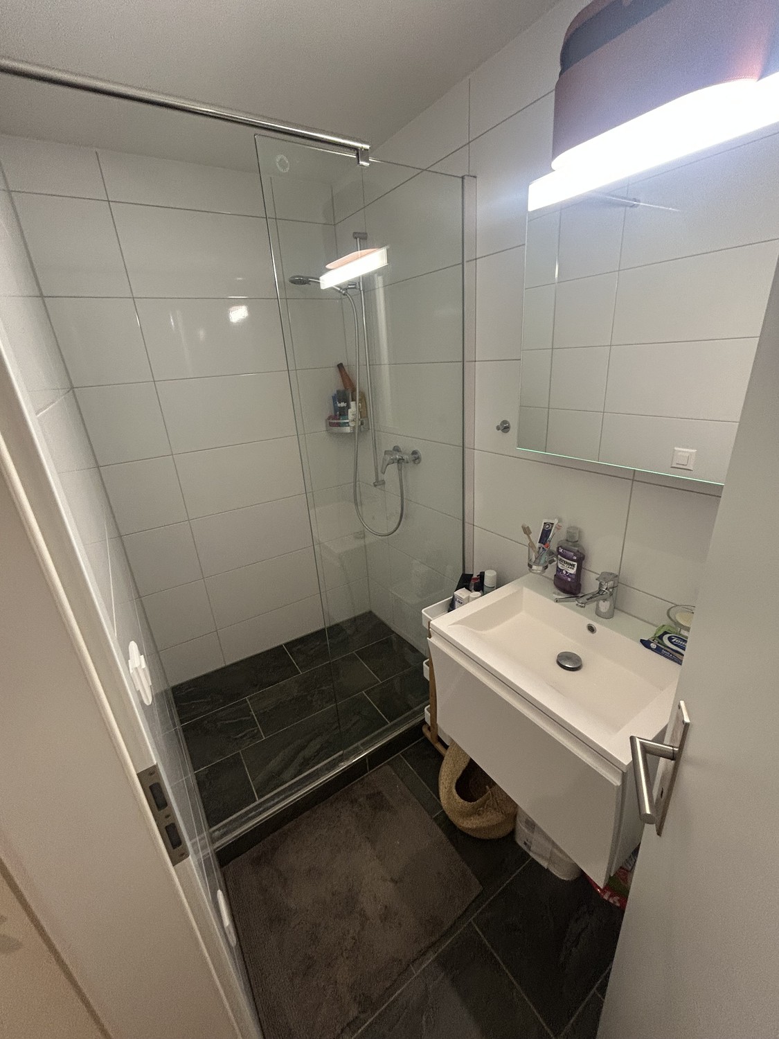 Appartement de 2 ½ pièces