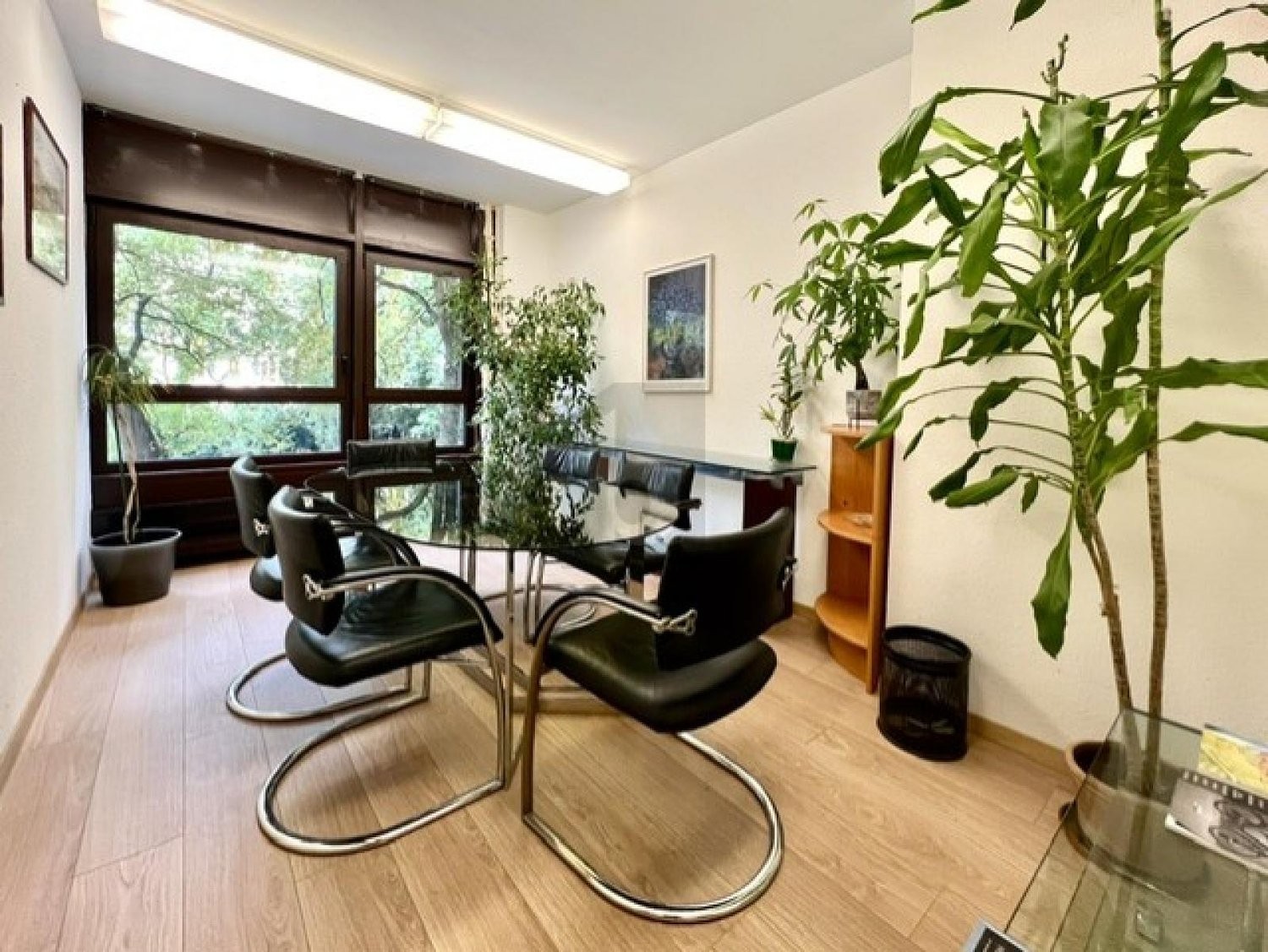 24m² office, photo 3 of 4