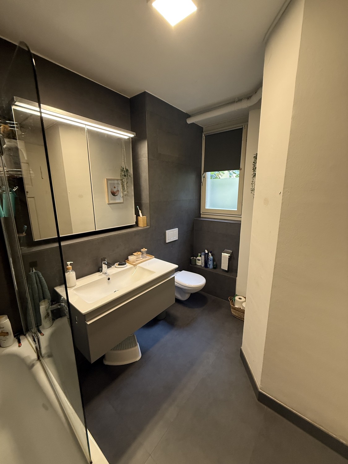 Room in a shared flat
