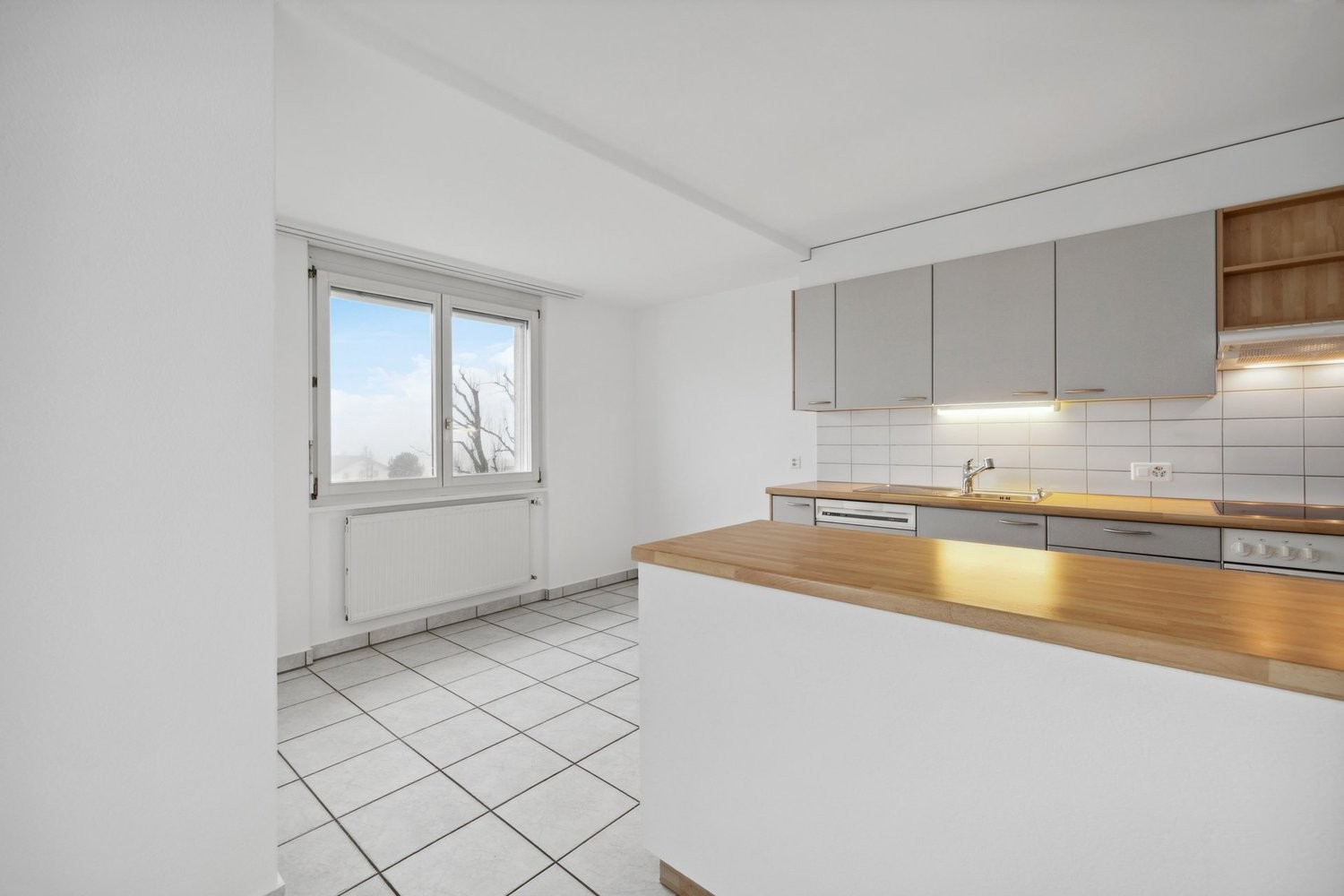 4 ½ rooms apartment