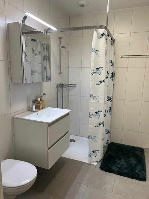 1 ½ rooms apartment, photo 5 of 5