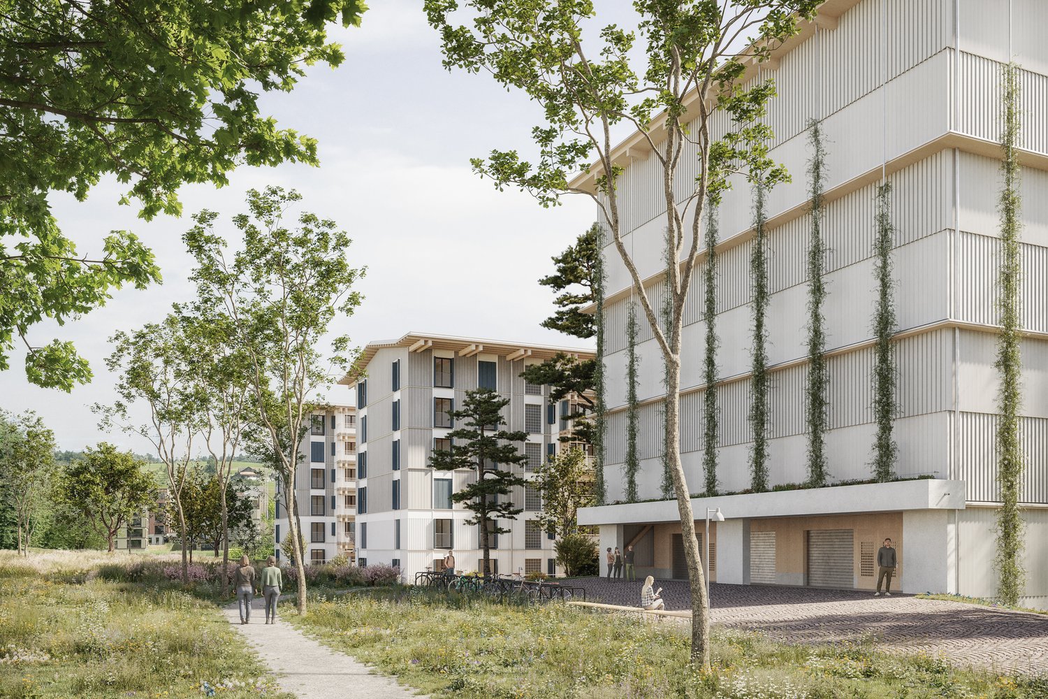 7013m² office