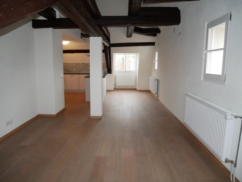3 ½ pièces appartement (5)