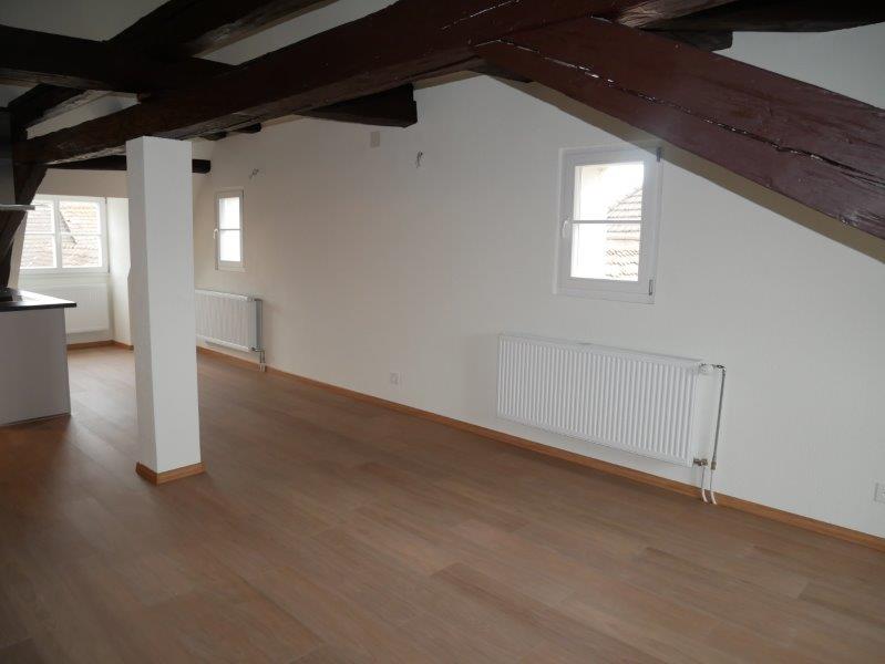 3 ½ pièces appartement (4)