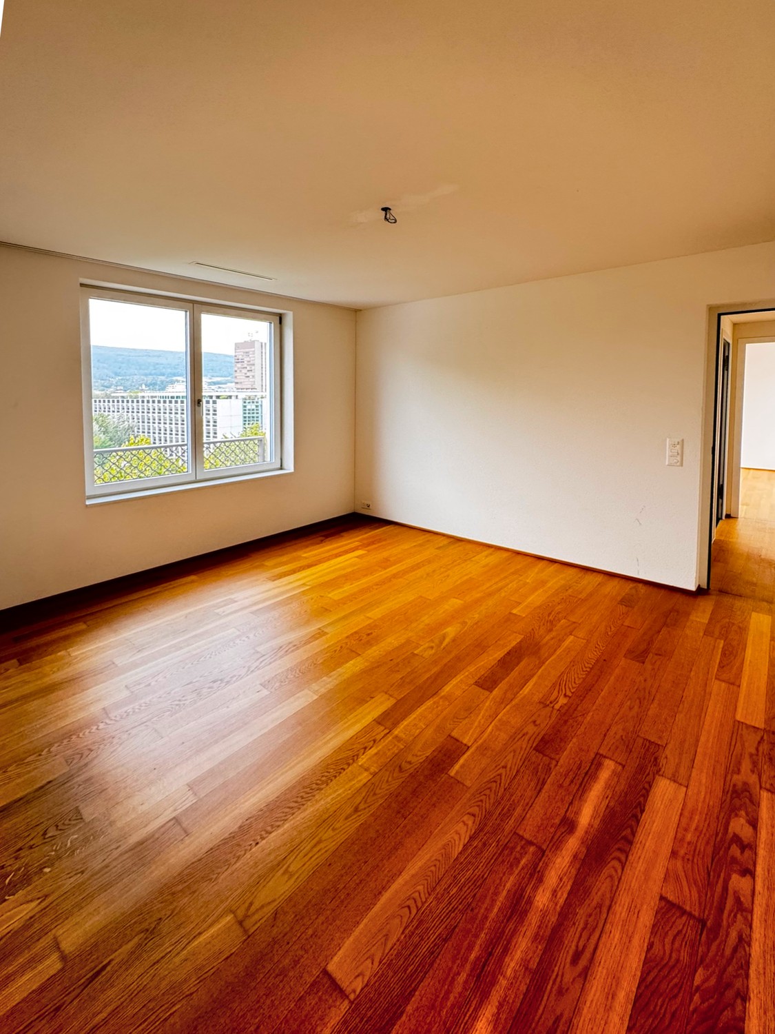 Appartement d'attique de 4 ½ pièces