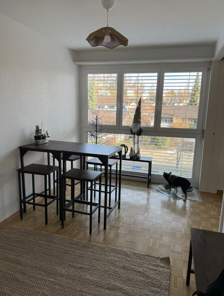 3 ½ rooms apartment, photo 2 of 7
