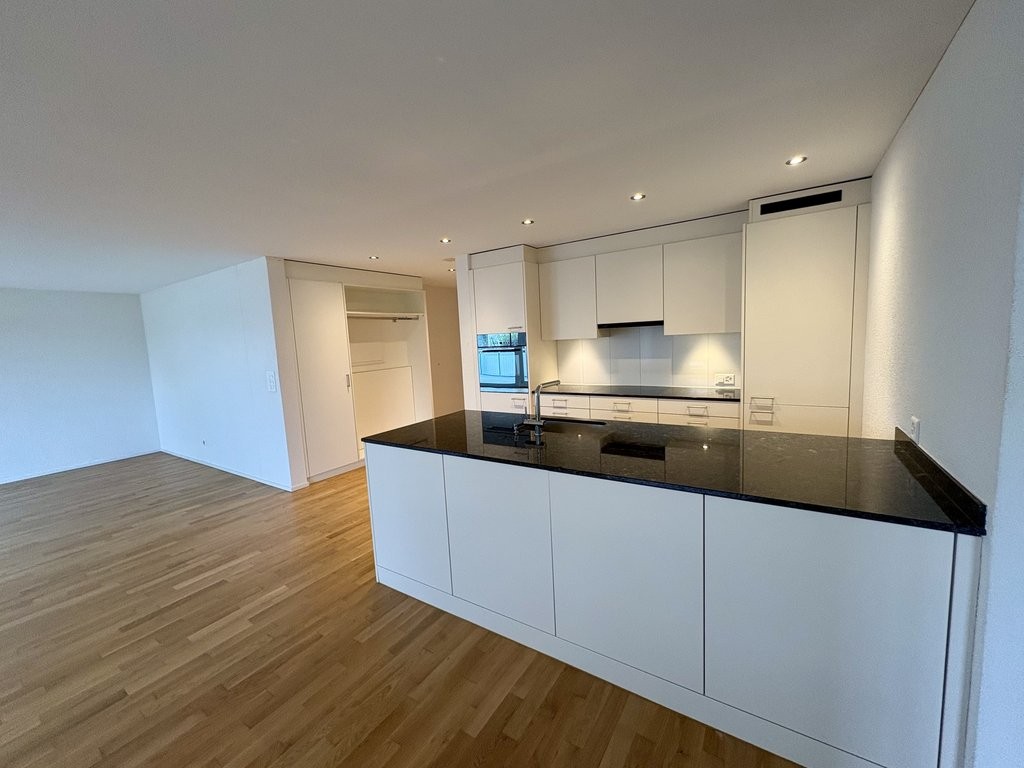 3 ½ rooms apartment (3)