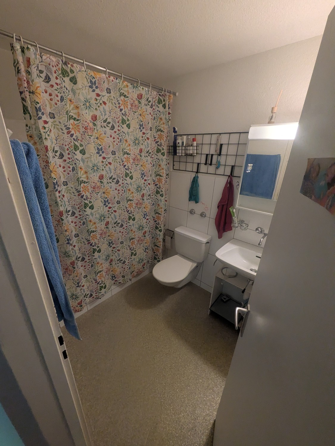 Room in a shared flat
