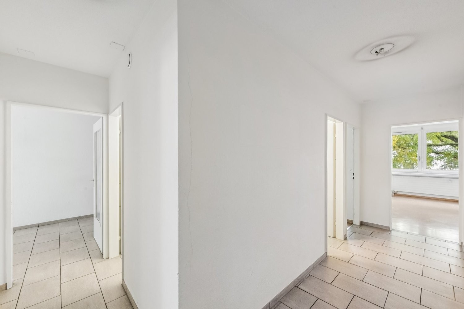 81m² commercial, photo 2 of 10