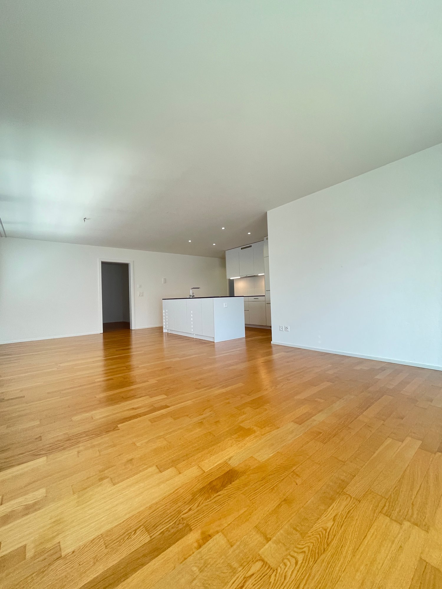 Appartamento di 2 ½ locali