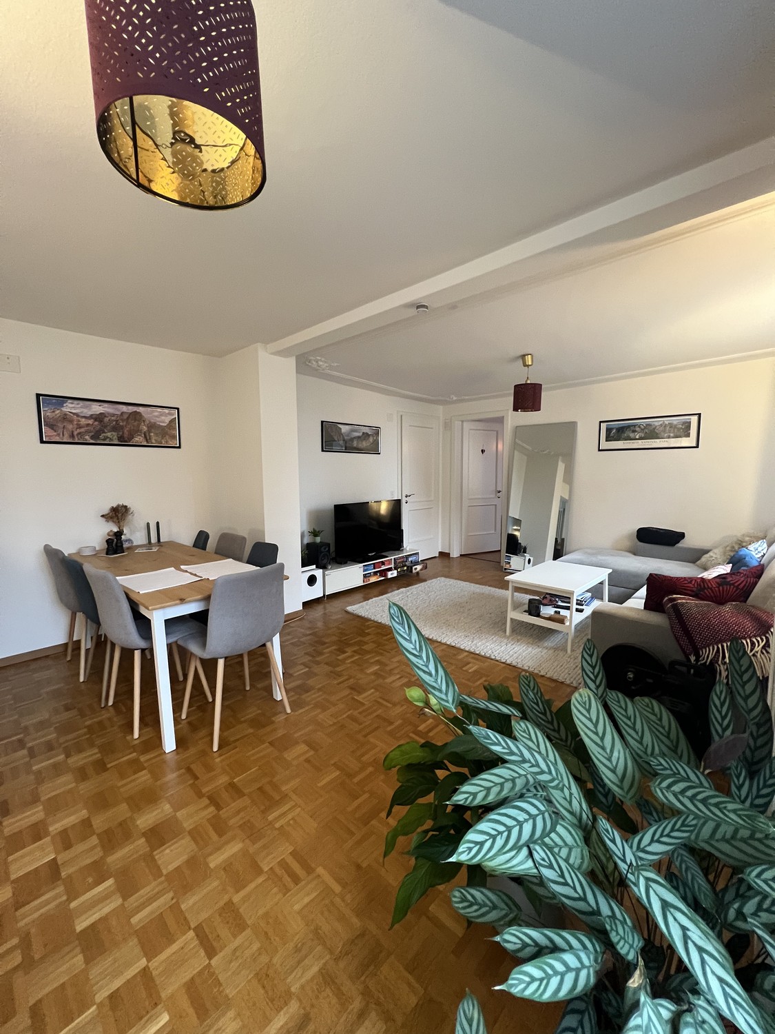 2 ½ rooms apartment