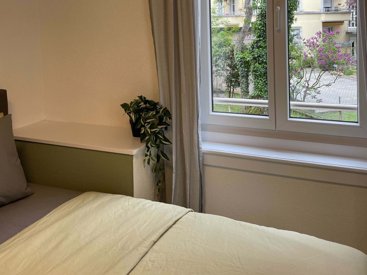 Room in a shared flat