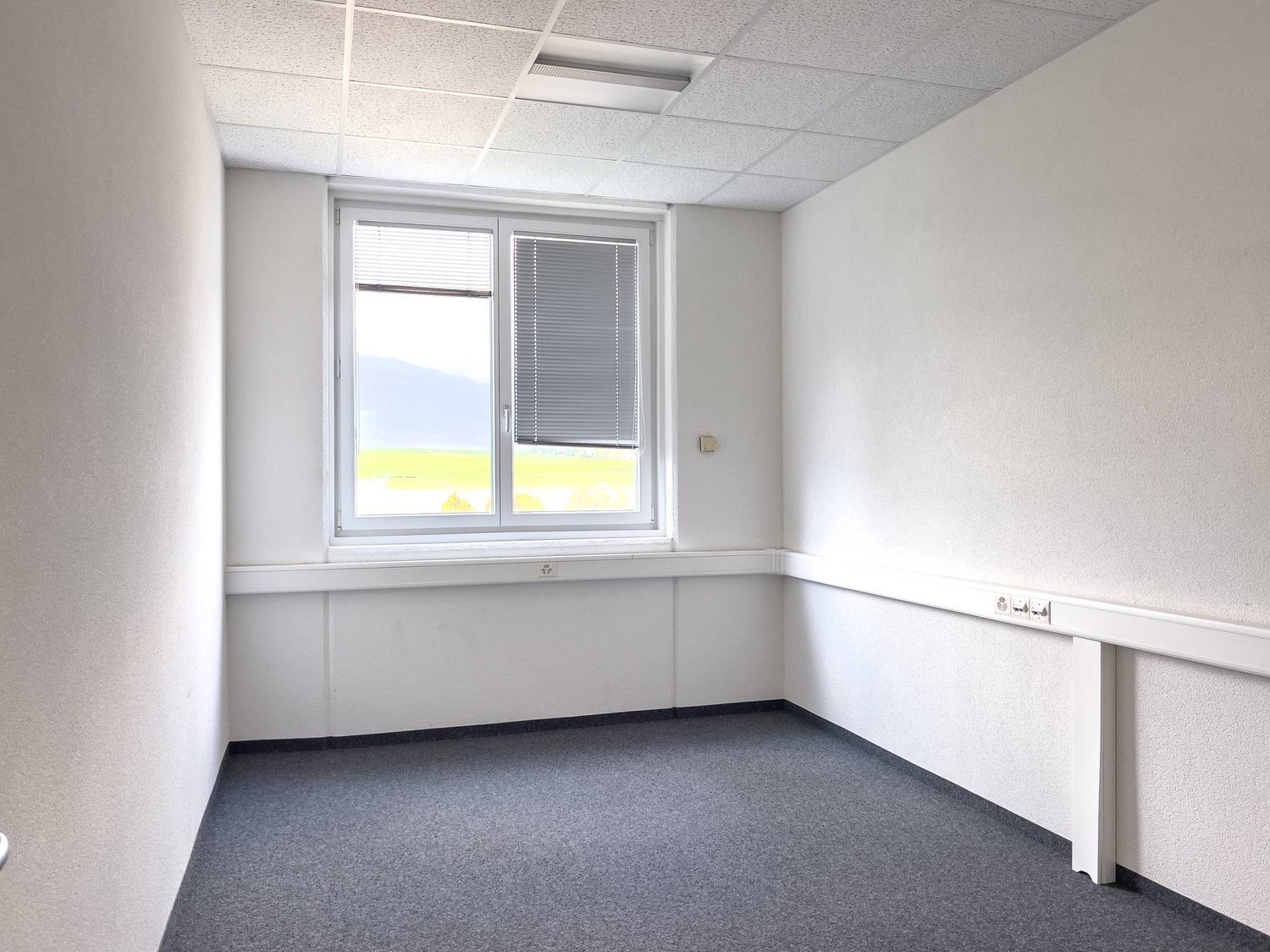 381m² office, photo 4 of 5