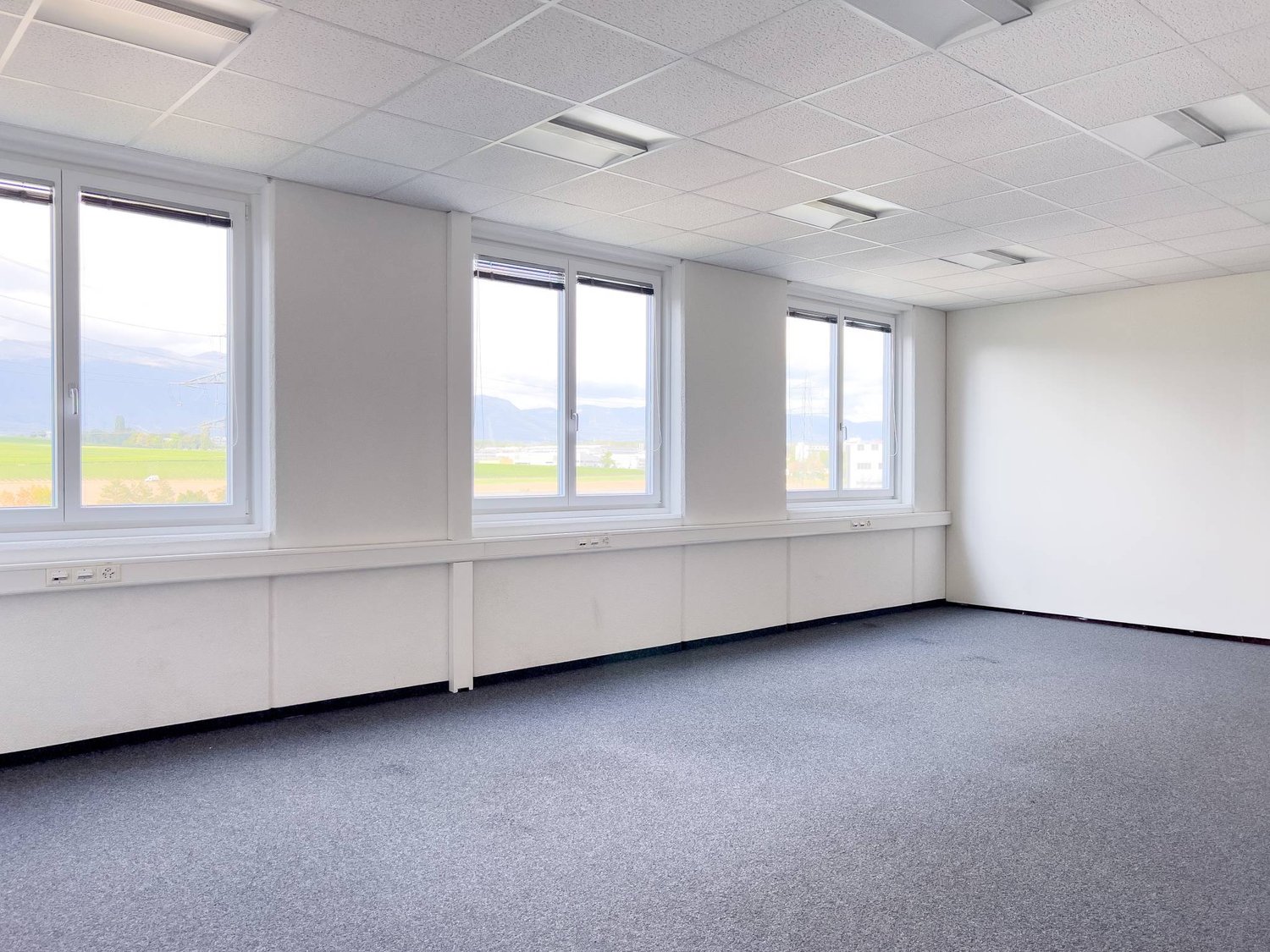 381m² office, photo 3 of 5